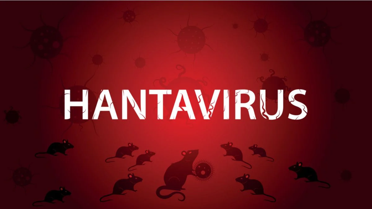Hantavirus Mewabah di Seluruh Dunia: Apa yang Diketahui dan Bagaimana Menghadapinya?
