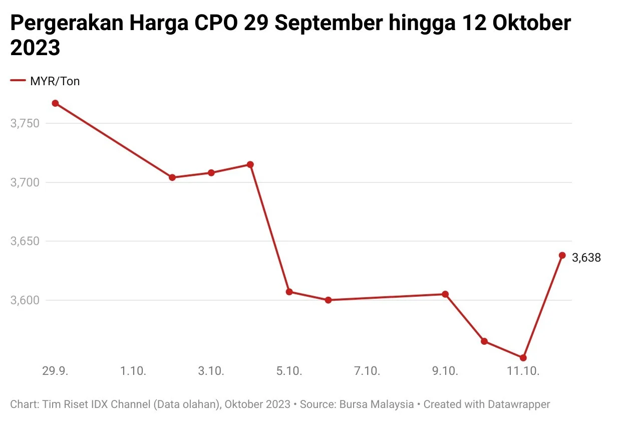 Harga CPO Hari Ini Turun, Pemerintah Siapkan Aturan Ekspor Baru