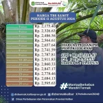 Harga Sawit Hari Ini Terus Mengalami Penurunan, Apa Penyebabnya?
