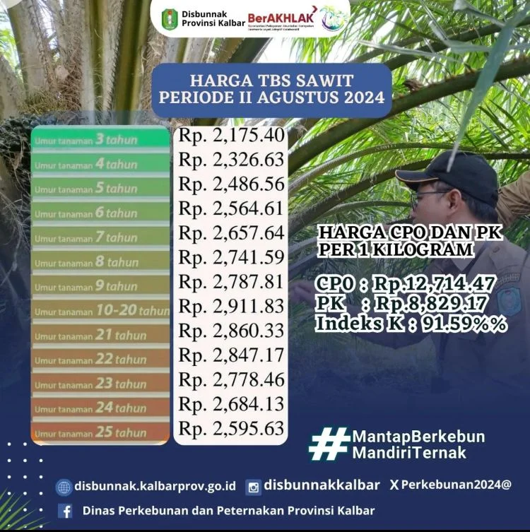 Harga Sawit Hari Ini Terus Mengalami Penurunan, Apa Penyebabnya?