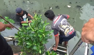 HP Warga yang Nyemplung di Telaga Pakujoyo: Mengapa Damkar Sukoharjo Berjuang Mencari?