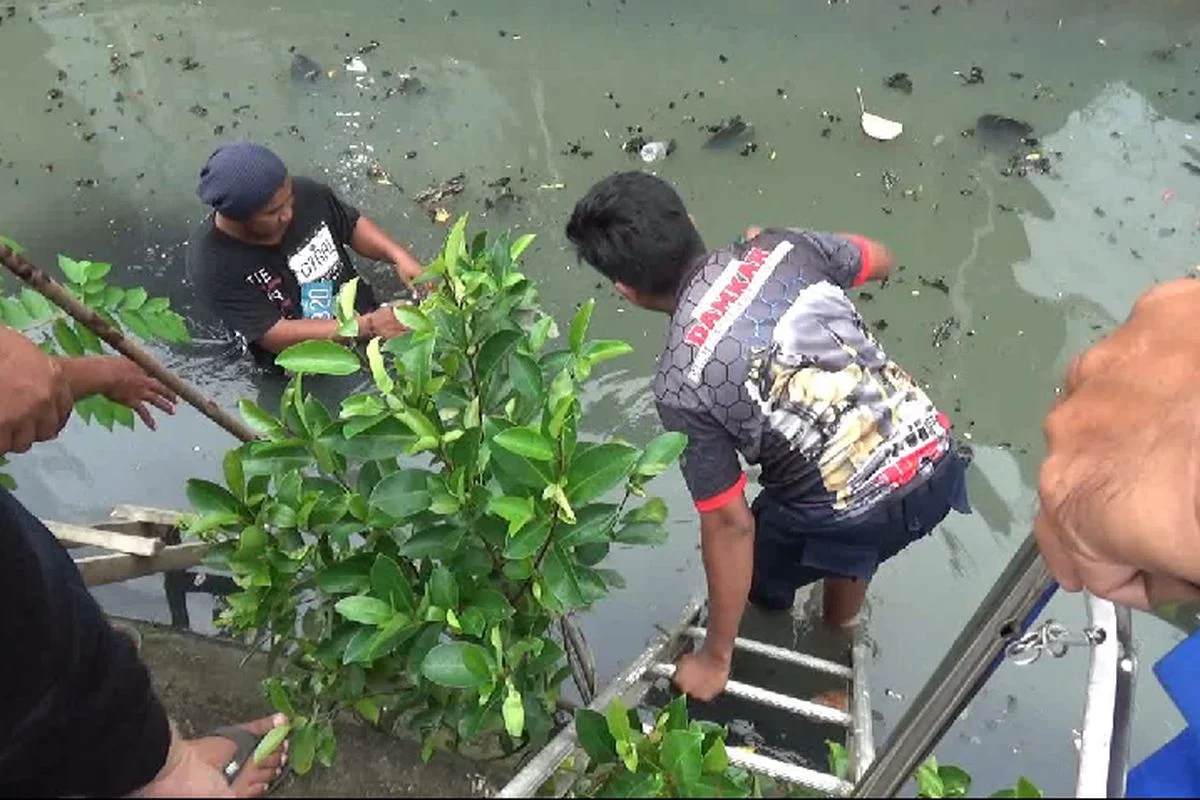 HP Warga yang Nyemplung di Telaga Pakujoyo: Mengapa Damkar Sukoharjo Berjuang Mencari?