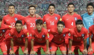 Incheon United: Tim Sepak Bola yang Mengharumkan Nama Korea Selatan