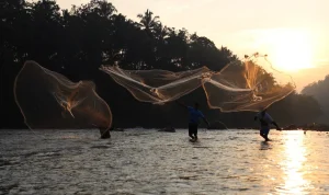 Jala Ikan di Indonesia: Dari Tradisi hingga Inovasi