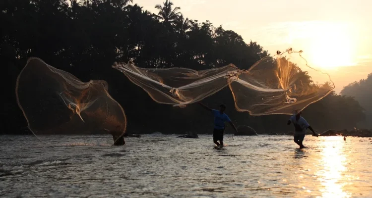 Jala Ikan di Indonesia: Dari Tradisi hingga Inovasi