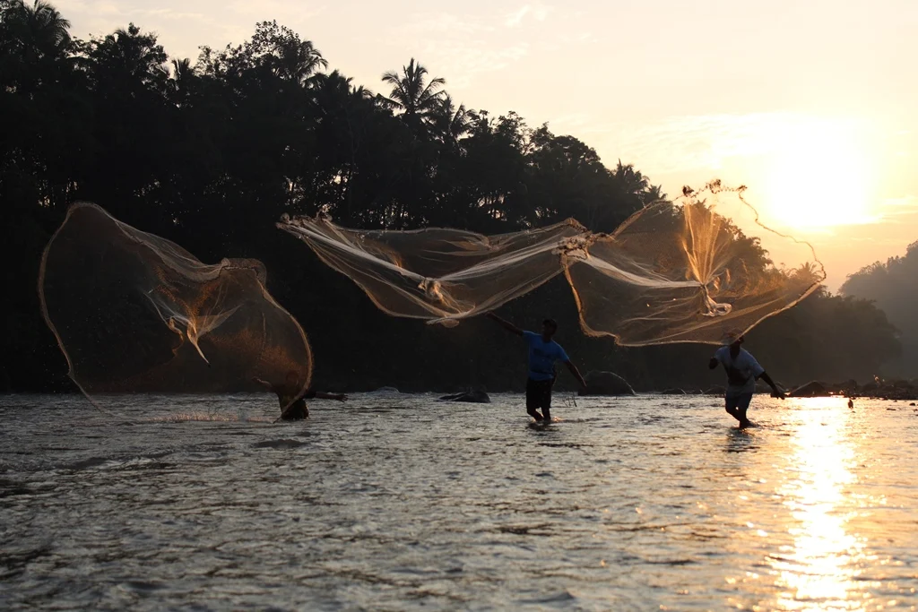 Jala Ikan di Indonesia: Dari Tradisi hingga Inovasi