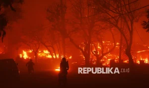 Kebakaran Hutan di California: Ancaman bagi Penduduk dan Lingkungan