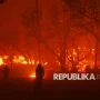 Kebakaran Hutan di California: Ancaman bagi Penduduk dan Lingkungan