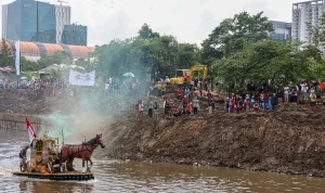 Kembalikan Kejayaan Ciliwung: Ribuan Ikan Tengadak dan Tawes Dilepas di Bogor, Buktikan Aksi Hijau Besar