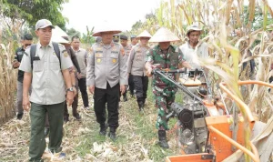 Kementan Percepat Penyaluran Alsintan untuk Perkuat Swasembada Jagung
