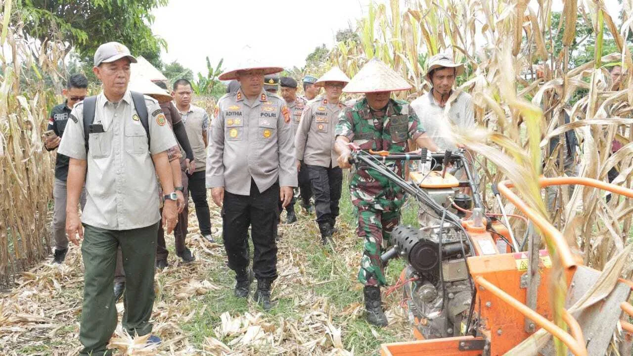Kementan Percepat Penyaluran Alsintan untuk Perkuat Swasembada Jagung