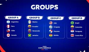 Kompetisi Sepak Bola di Amerika Selatan: Copa Sudamericana dan Persaingan Sengit