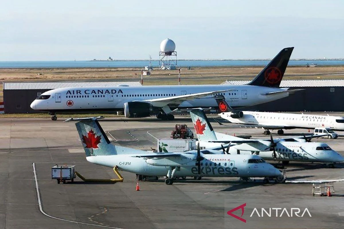 Krisis Bahan Bakar Jet Mengancam Industri Penerbangan: Kasus Ascend Airways dan Boeing 737