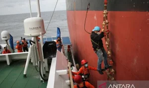 Krisis Hantavirus di Kapal Pesiar MV Hondius: Tiga Kematian, Evakuasi Medis, dan Peringatan WHO