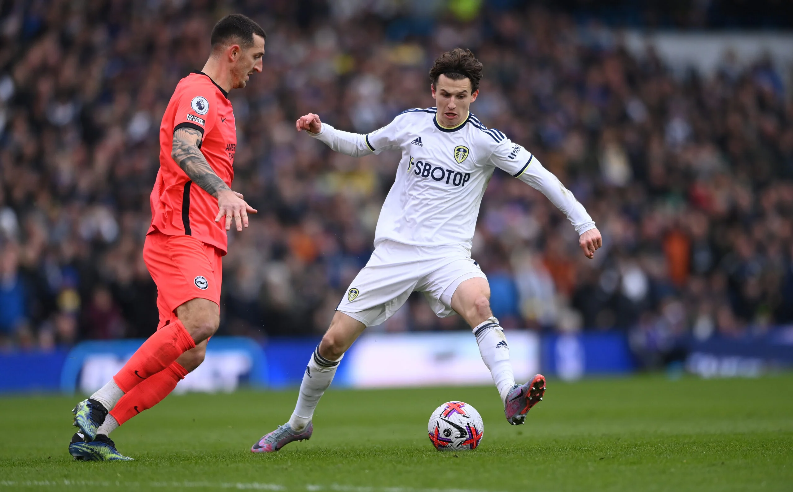 Leeds United vs Brighton: Pertarungan Sengit di Elland Road