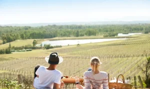 Liburan Mewah di Sydney Pool dan Hunter Valley: Destinasi Impian di Australia