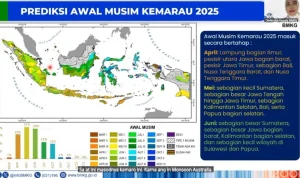 Musim Kemarau 2025: Prediksi BMKG dan Antisipasi El Nino