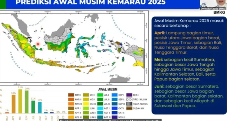 Musim Kemarau 2025: Prediksi BMKG dan Antisipasi El Nino