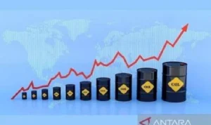 Nikkei 225 Melambat, Apa yang Mempengaruhi Harga Minyak dan Dampaknya pada Perekonomian?