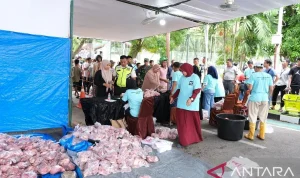 Pertamina Sumbagut Salurkan Ratusan Hewan Kurban ke 5 Provinsi