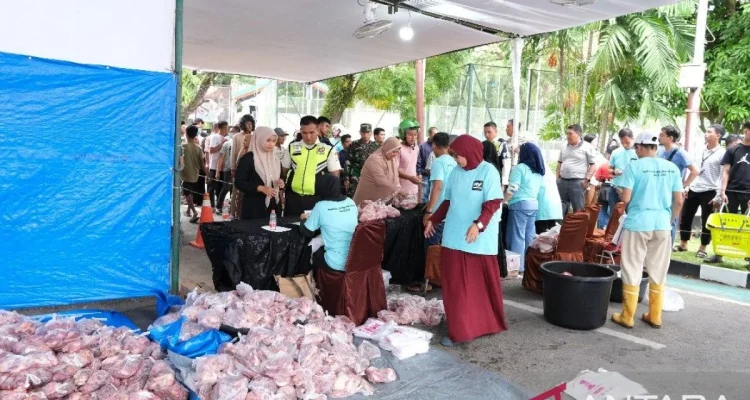 Pertamina Sumbagut Salurkan Ratusan Hewan Kurban ke 5 Provinsi