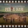 Pesta Babi: Film Dokumenter yang Mengungkap Konflik di Papua