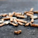 Puntung Rokok Ditemukan di Menu MBG di Wonogiri: Keamanan Makanan Dipertanyakan