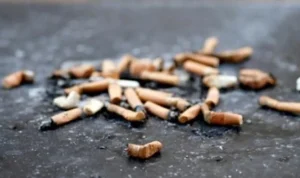Puntung Rokok Ditemukan di Menu MBG di Wonogiri: Keamanan Makanan Dipertanyakan
