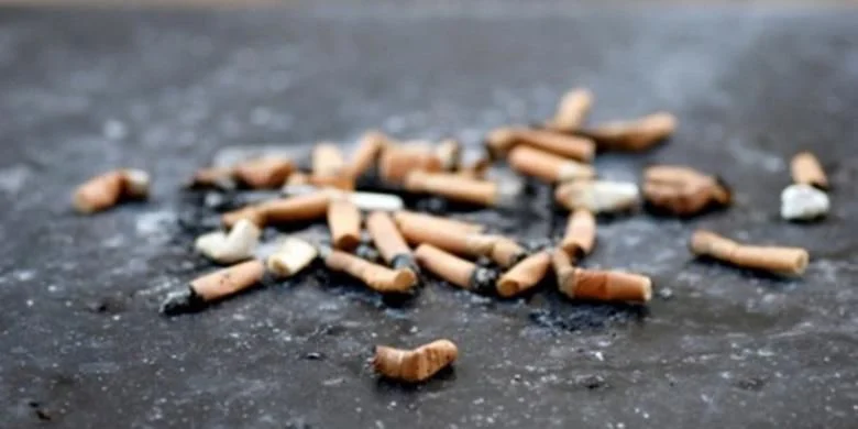 Puntung Rokok Ditemukan di Menu MBG di Wonogiri: Keamanan Makanan Dipertanyakan