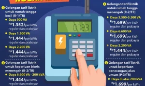 Tarif Listrik Tidak Naik Sejak 2022, Mengapa Tagihan Listrik Bisa Membengkak?