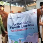 TelkomGroup Salurkan 910 Hewan Kurban untuk Masyarakat di Hari Raya Iduladha