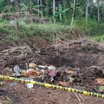 Tragedi di Bogor: Kasus Pembunuhan Wanita dan Penampakan Lokasi Kejadian