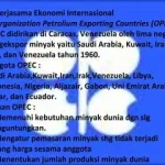 UEA keluar OPEC: Dampak Geopolitik, Ekonomi, dan Kerja Sama Regional Terbaru