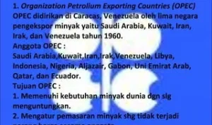 UEA keluar OPEC: Dampak Geopolitik, Ekonomi, dan Kerjasama Regional