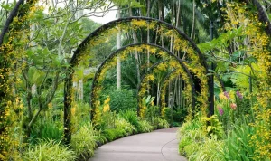 Undang-Undang Baru Singapura Atur Insiden RTS Link dan Soroti Keindahan Botanic Gardens