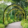 Undang-Undang Baru Singapura Atur Insiden RTS Link dan Soroti Keindahan Botanic Gardens
