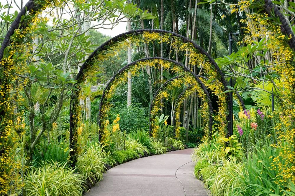 Undang-Undang Baru Singapura Atur Insiden RTS Link dan Soroti Keindahan Botanic Gardens