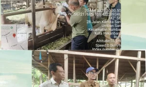 Vaksinasi, Pemeriksaan, dan Penjualan Hewan Kurban Meriah Menyambut Idul Adha 2026 di Jawa Timur, Tengah, dan Barat