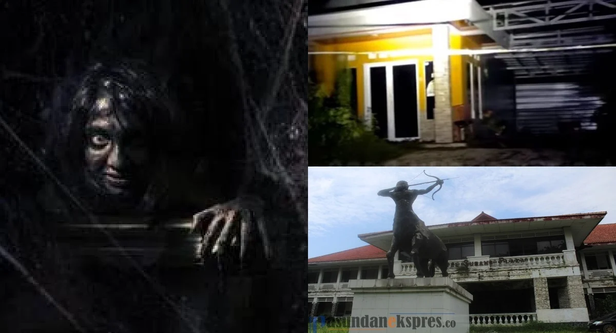 Vidio Menguak Misteri dan Hiburan