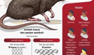 Virus Hanta: Mengenal Gejala, Cara Penularan, dan Risiko Pandemi