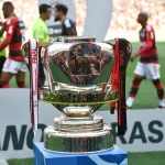 Vitória Mengalahkan Flamengo dan Raih Tiket ke Babak Oitavas Copa do Brasil