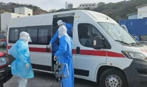 Wabah Hantavirus di Kapal Pesiar MV Hondius: 3 Penumpang Meninggal, Otoritas Kesehatan Internasional Waspadai