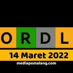 Wordle Hari Ini: Hints dan Jawaban untuk 14 Mei 2026