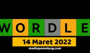 Wordle Hari Ini: Hints dan Jawaban untuk 14 Mei 2026