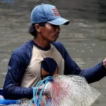 Yogyakarta Mulai Gencarkan Pemberantasan Ikan Sapu-Sapu, Ancaman Bagi Ekosistem Lokal