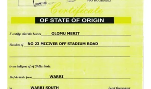 Asal-Usul vs Merit: Perseteruan State of Origin yang Mengancam Keadilan Imparsial