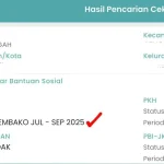 Cara Cek Bansos PKH dan Pemutakhiran Data Sosial Ekonomi Nasional