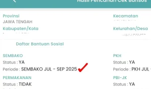 Cara Cek Bansos PKH dan Pemutakhiran Data Sosial Ekonomi Nasional