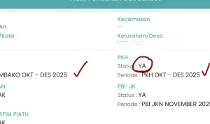 Cek Bansos BPNT 2026: Jadwal Pencairan dan Cara Cek Penerima