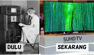 Dunia Televisi Mengalami Perubahan Besar: Dari Drama 'Ponies' Hingga Akuisisi Fox terhadap Roku